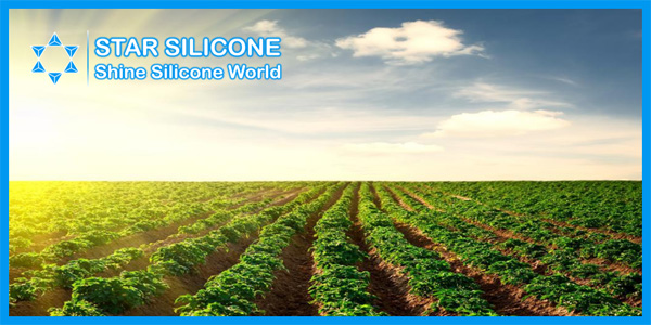 Silicone Adjuvant